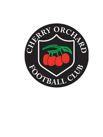Brogan Group and Cherry Orchard FC Football sponsorship